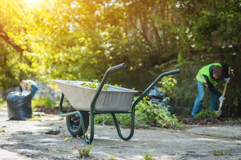 Spring & Fall Clean-up