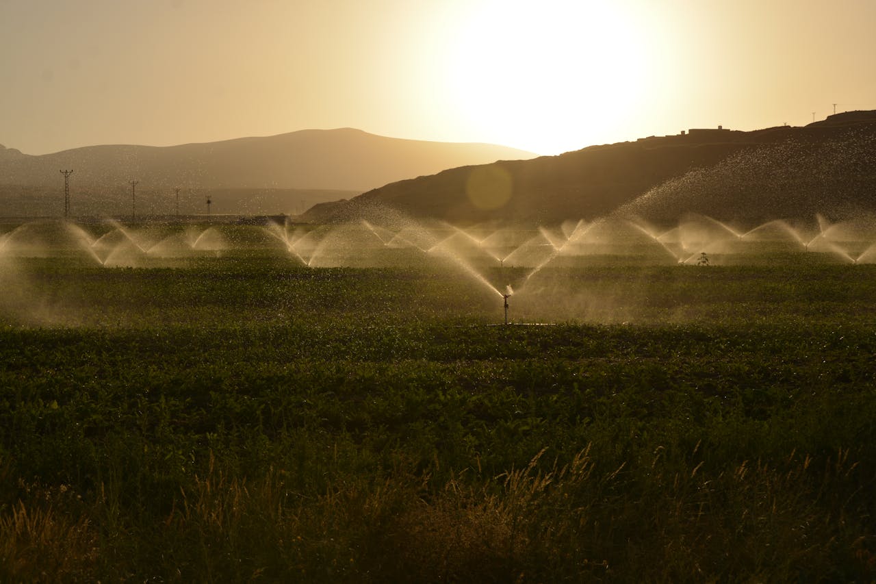 Why a Proper Irrigation System Is the Key to a Healthy Landscape in Montana